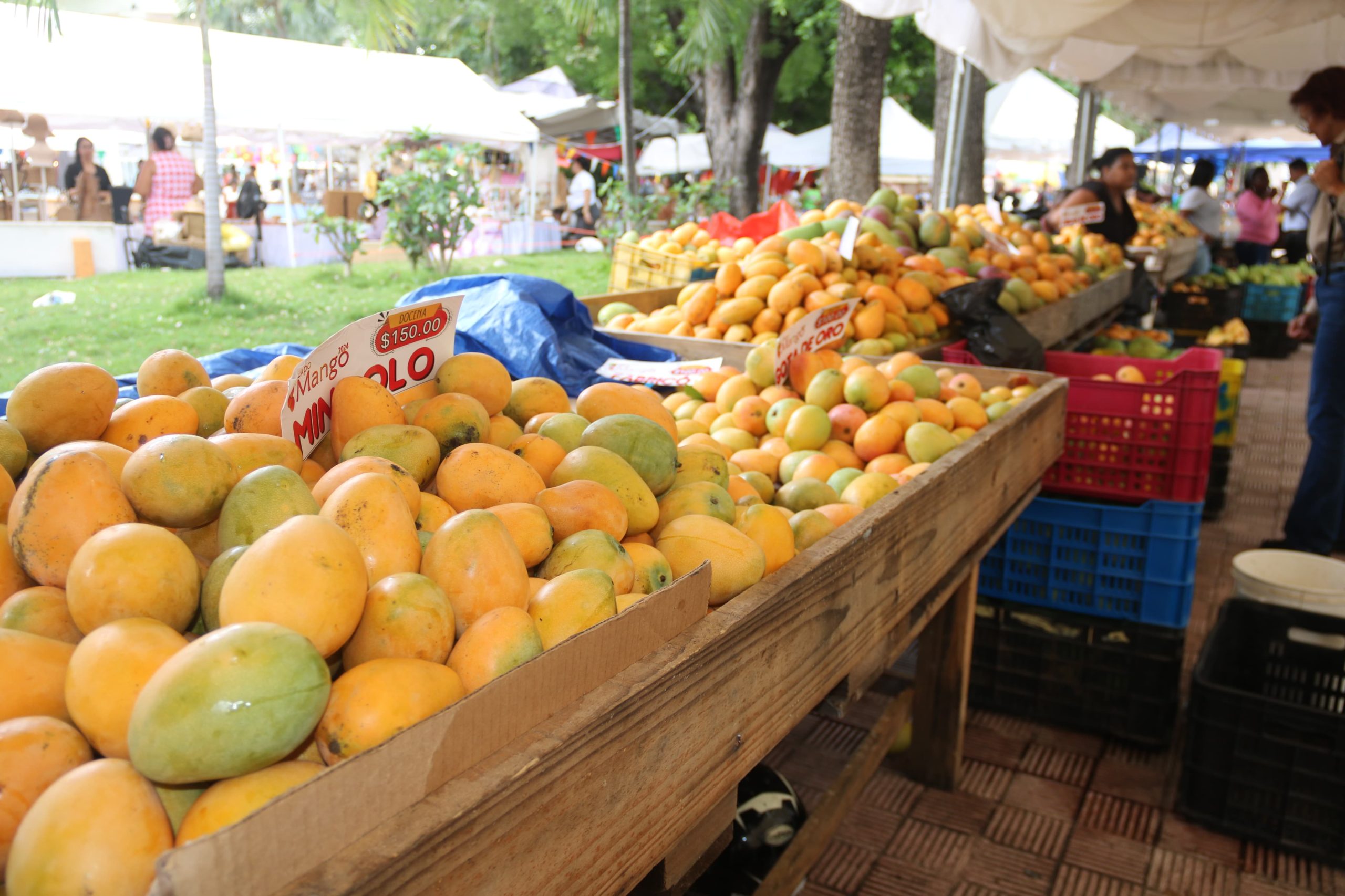 Concluye con éxito Feria del Mango 2024
