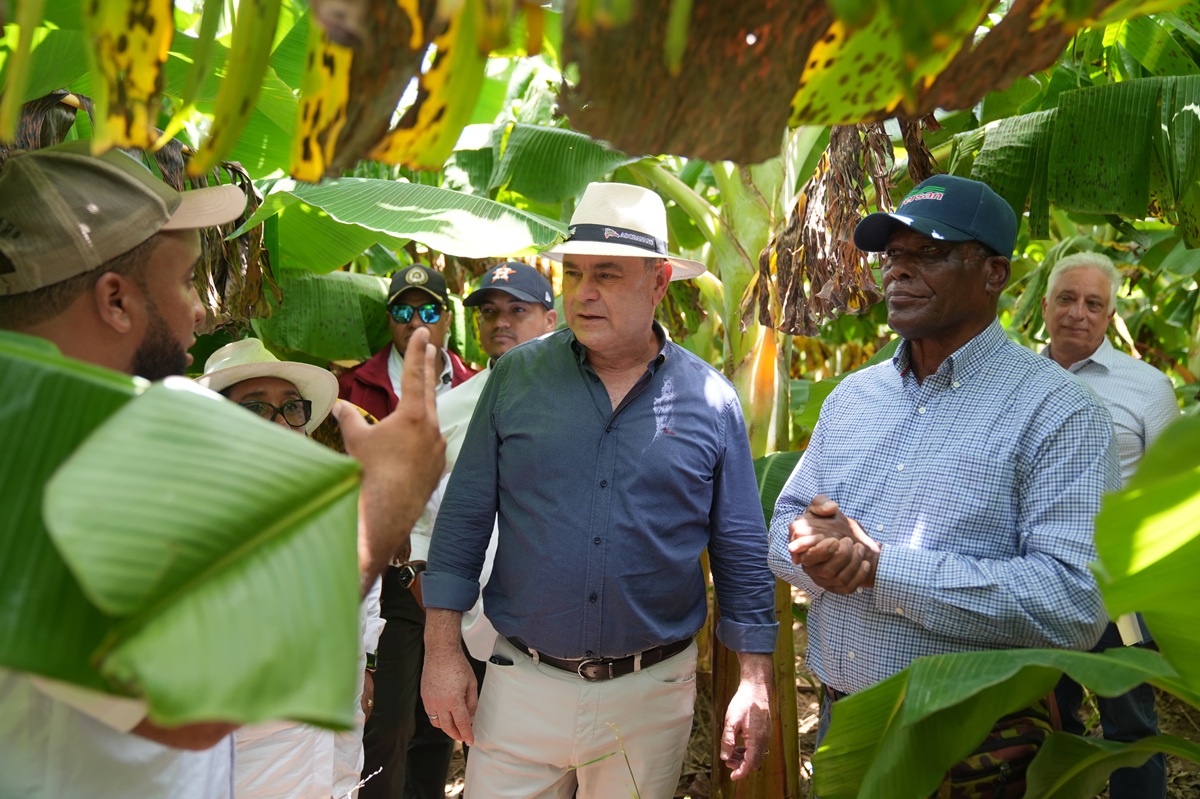 Ministerio de Agricultura inicia protocolo para la reapertura de PRODEVAJ y adopta primeras medidas para reactivar el desarrollo agrícola del Valle de Juancho